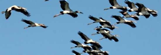 Menadžer ne može sve sam, treba pomoć drugih menadžera