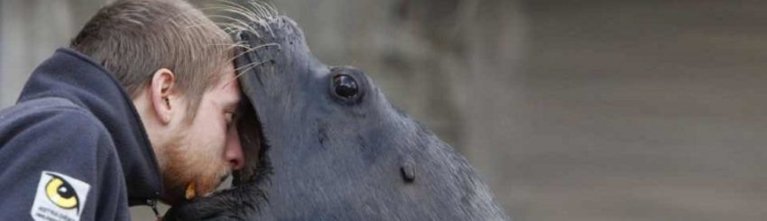 Menadžer prodaje treba utjecati na kolege menadžere kako bi ostvario cilj.