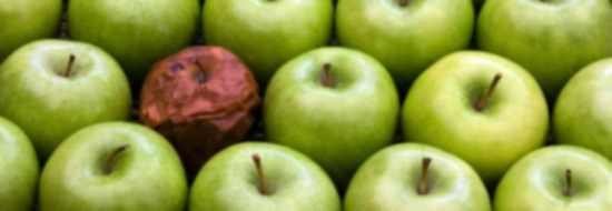 cuvajte-se-pokvarenih-jabuka550