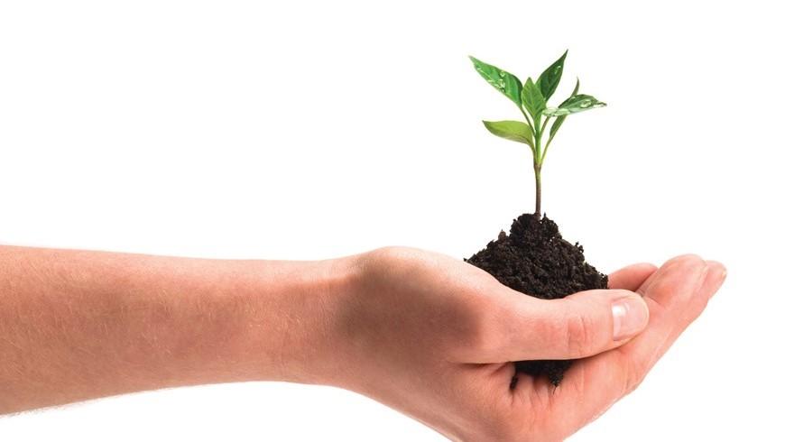 sto-je-hrabrije-ostati-ili-otici