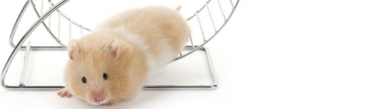 Veliki stres je neprijatelj, ali ga možete pobijediti.