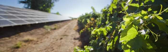 Organizacijska kultura za puni uspjeh