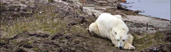 Odgovornost za okoliš je samo naša