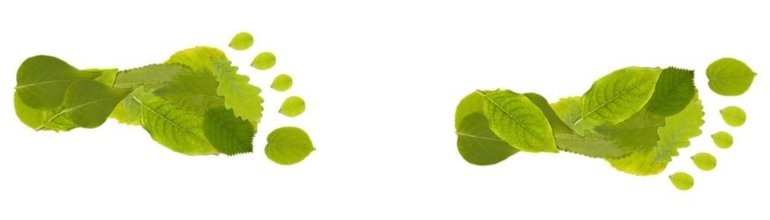 Ograničen rast je preduvjet ograničene ekonomije