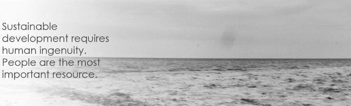 Organizacijska kultura usmjerena na dugoročnost