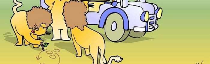 Vaše poduzeće u očima drugih