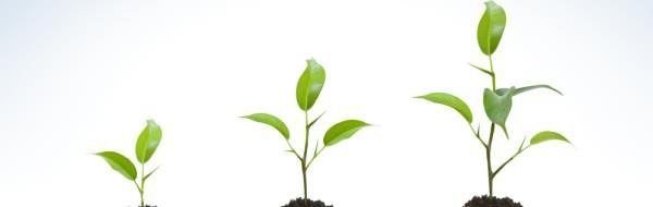 Poduzeće raste ako raste samo jedna osoba