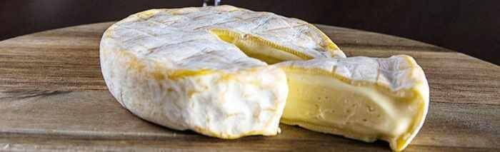 direktorska karijera u proizvodnji sira i1200