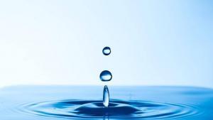 eliksir zdravlja i zivota i1200