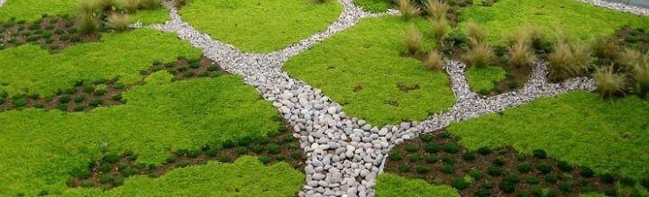 energija iz 40 sekundi prirode za bolji rezultat i1200