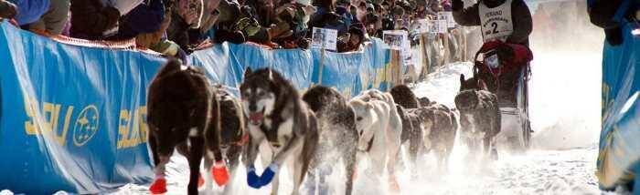 iskustvo u prikupljanju sredstava i1200