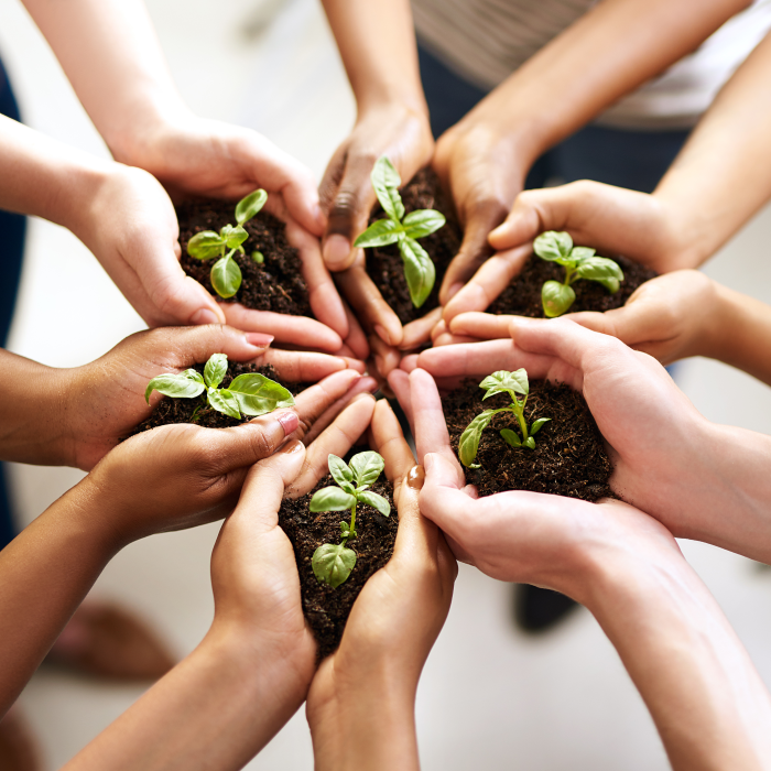 izgradnja organizacijskog imuniteta u doba prosperiteta i1200