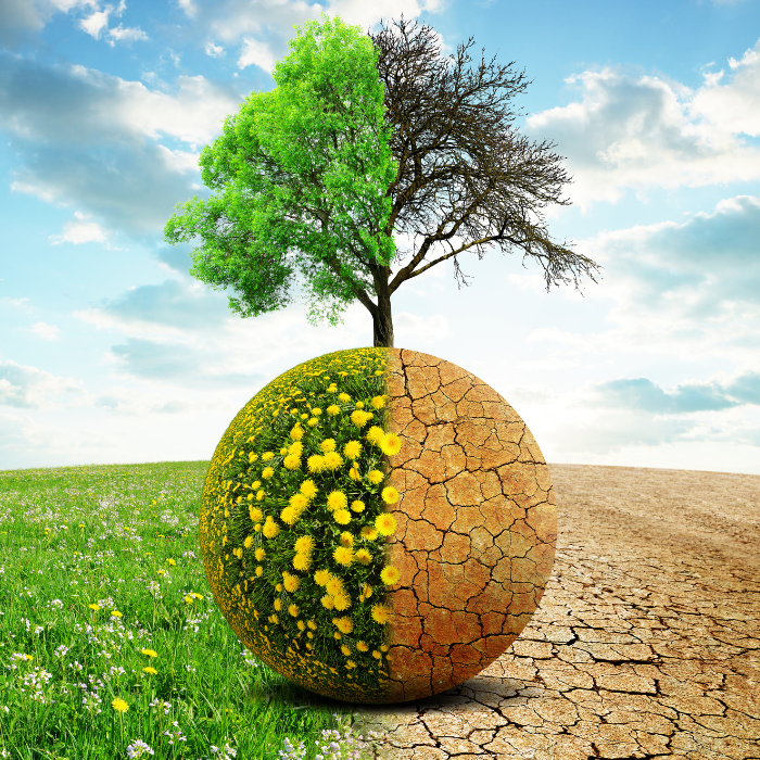 kako se oblikuje organizacijska klima i1200