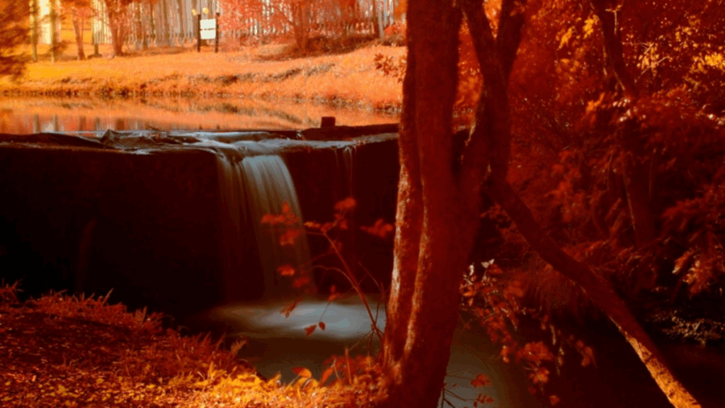 kontrola bijesa i1200