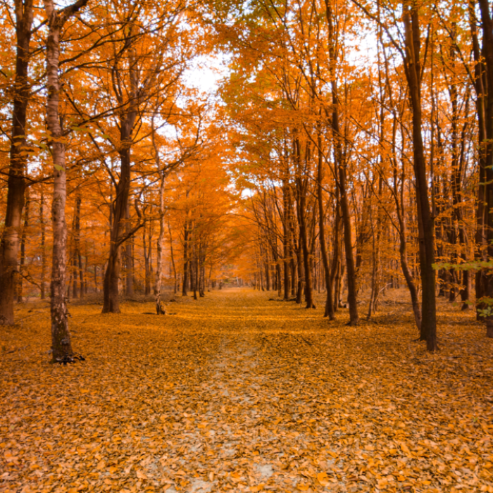 potrebne su vjestine da bi se izbjegao burnout i1200