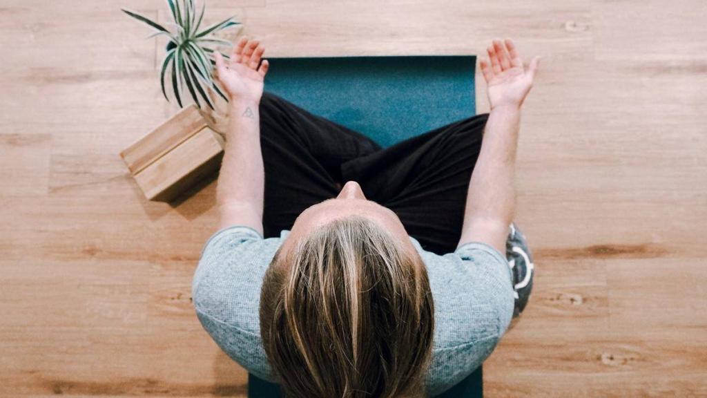 punite li svoje baterije na optimalan nacin i1200