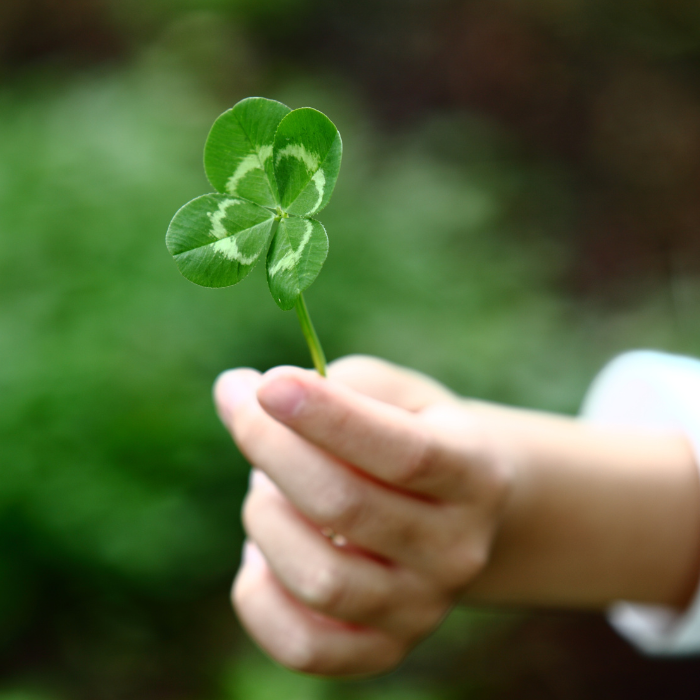 sretno u potrazi za srecom u novoj godini i1200