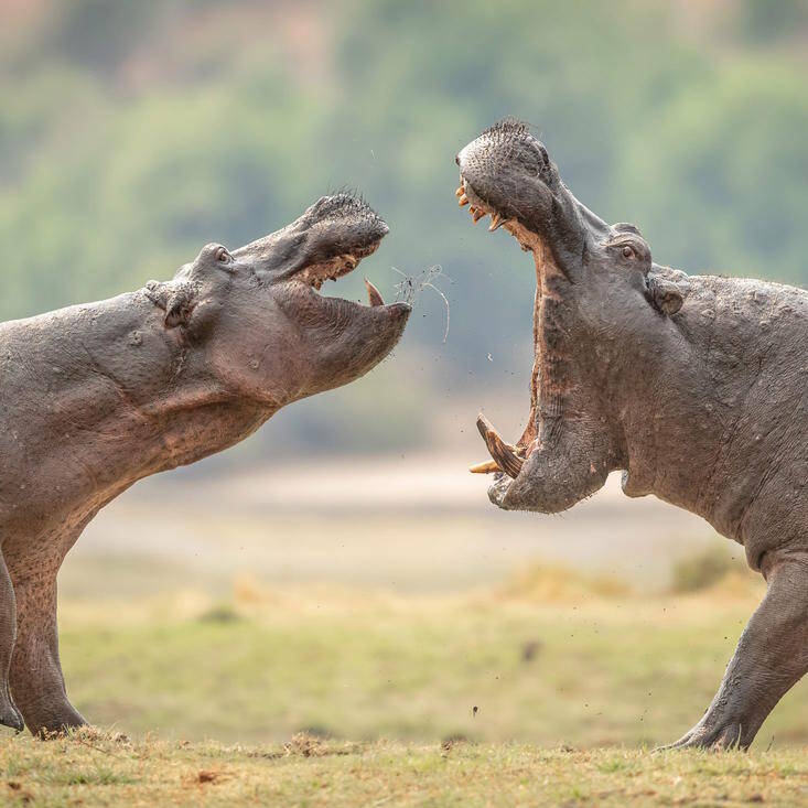 strategije pregovaranja i1200