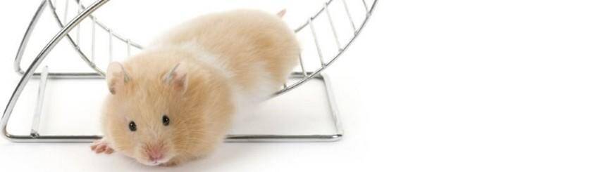 stres najveceg neprijatelja eliminirajte u tri koraka i1200