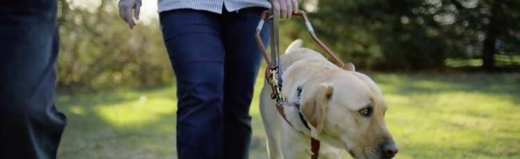 vodstvo i sto mislim o njemu i1200