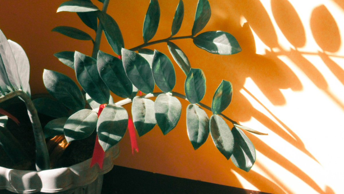 vrijeme je najmanje koristen hrvatski kapacitet i1200