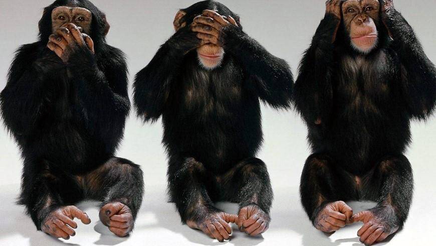 zasto ne uzimamo stvari u svoje ruke iako smo gladni promjene i1200