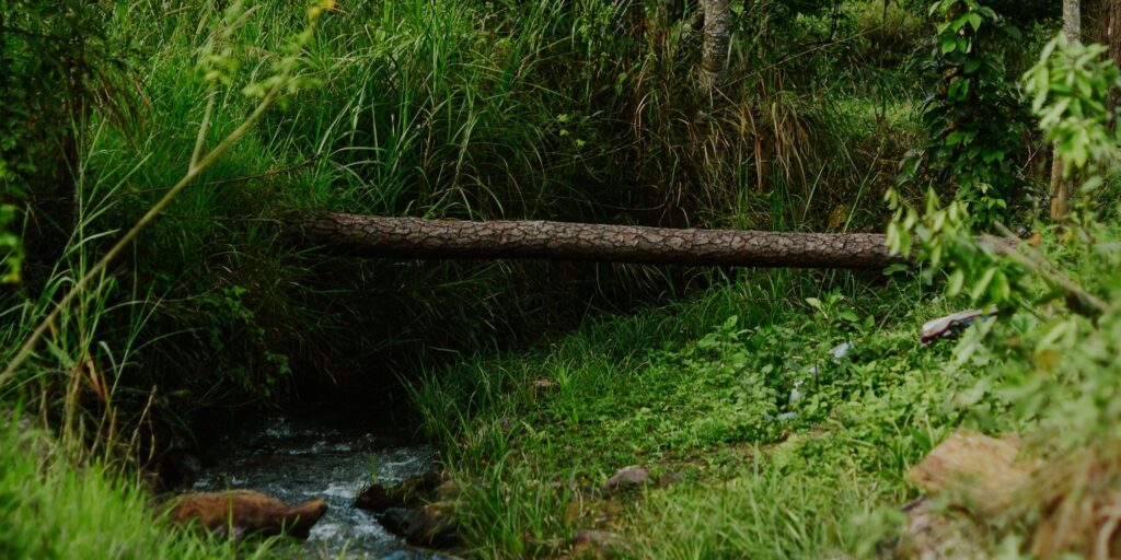 Moć pozitivnog mišljenja – self-help tema ili nešto stvarno životno važno?