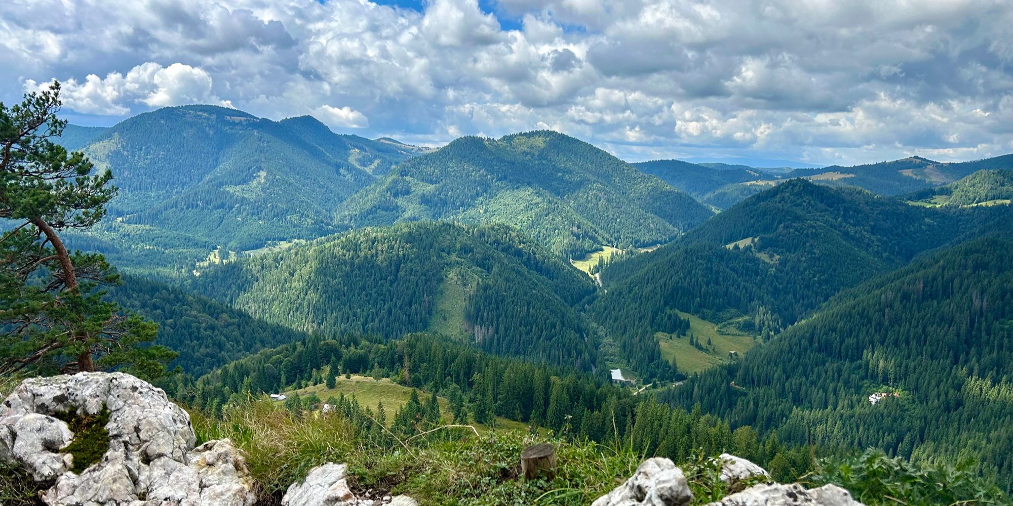 Kompetencije izviru iz Avani